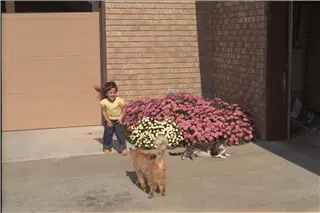 small_9400 1220 cew familyIMG0036.webp